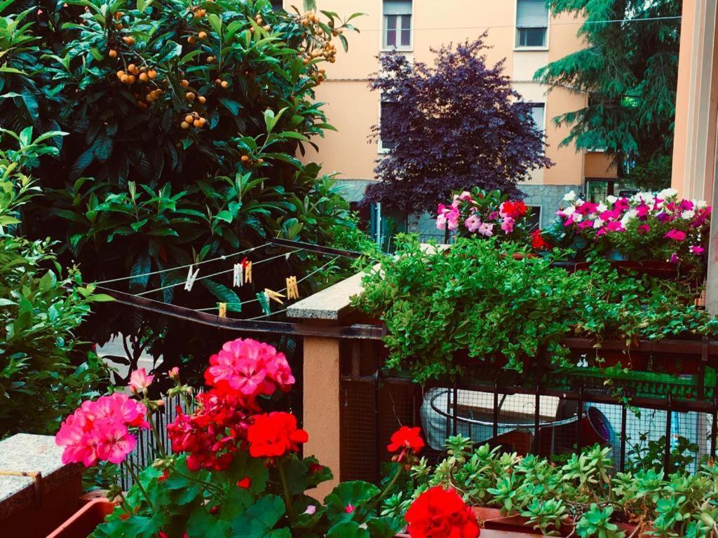 Casa Asia Bologna Bagian luar foto